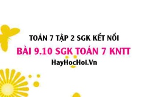 Bài 9.10 SGK Toán 7 Tập 2 Kết nối tri thức